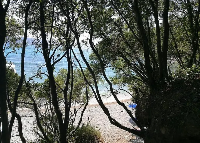 Rapunzel Διαμέρισμα Brovinje